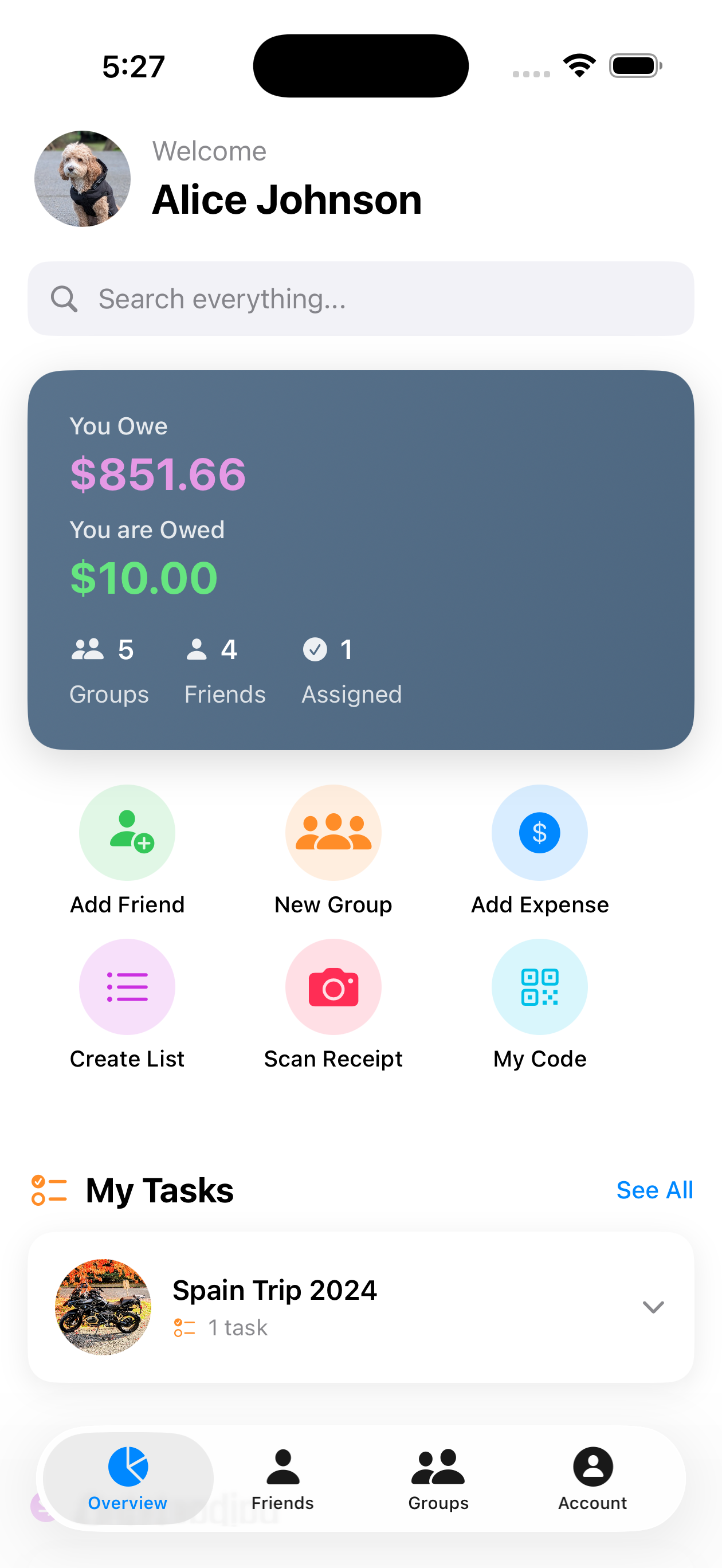 Overview page showing balances, groups, and quick actions